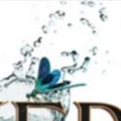 BWW Cover Reveal: THE WICKED KING by Holly Black