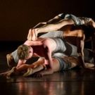 Carolyn Dorfman Dance Comes to NJPAC For Gala Benefit And Performance