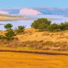 California Native Plant Society Presents BEAUTY AND THE BEAST: CALIFORNIA WILDFLOWERS