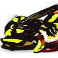 BWW Review: Paul Hood Presents I, JOURNEYMAN Premiere in Mechanicsburg Photo