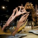 The McCoy To Host National Geographic Live's SPINOSAURUS: LOST GIANT OF THE…
