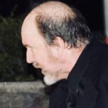 Get Out of the House. Go See  MUCH ADO ABOUT NOTHING in the Park!