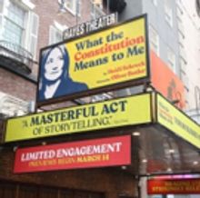 TV: Broadway Walks the Red Carpet at WHAT THE CONSTITUTION MEANS TO ME