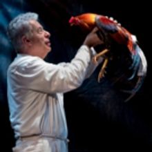 BWW Review: EL CORONEL NO TIENE QUIEN LE ESCRIBA at Harlem Stage