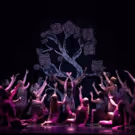 Photo Coverage: First look at New Vision Dance Co.'s BRANCHING OUT