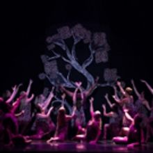 Photo Coverage: First look at New Vision Dance Co.'s BRANCHING OUT