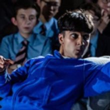 THE CURIOUS INCIDENT OF THE DOG IN THE NIGHT-TIME To Play In Wolverhampton Schools