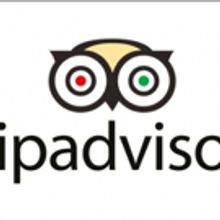 The Best of the Worst: Theatre TripAdvisor Reviews