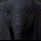 VIDEO: See An Elephant Fly In the Official Trailer for Tim Burton's DUMBO!