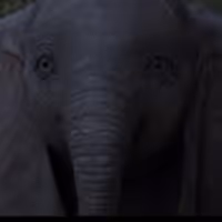 VIDEO: See An Elephant Fly In the Official Trailer for Tim Burton's DUMBO! Video
