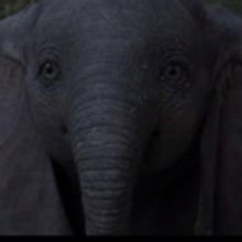 VIDEO: See An Elephant Fly In the Official Trailer for Tim Burton's DUMBO!