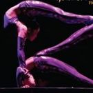 Golden Dragon Acrobats Soar into Cincinnati
