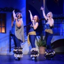 Photo Flash: MAMMA MIA at Flatrock Playhouse