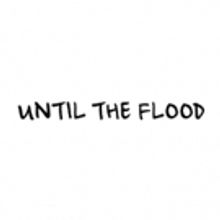 Dael Orlandersmith's UNTIL THE FLOOD Begins March 13 at Milwaukee Rep