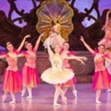 Long Beach Ballet Presents THE NUTCRACKER For its 36th Year