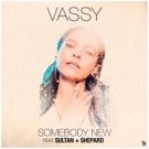 VASSY Launches New Single SOMEBODY NEW With Canadian Grammy Nominees Sultan + Shepard