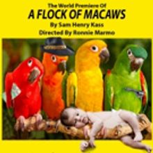 A FLOCK OF MACAWS By Sam Henry Kass To Make World Premiere at Theatre 68