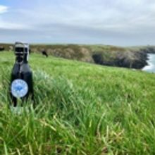 The World's Best Irish Cream Has Arrived