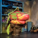 BWW Review: A Monster, Motown, and More in the LITTLE SHOP OF HORRORS at Red…