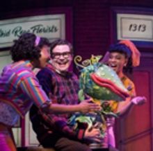 BWW Review: Two Green Thumbs Up for the Stratford Festival's LITTLE SHOP OF HORRORS
