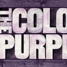 THE COLOR PURPLE Begins Performances Tonight At Paper Mill Playhouse