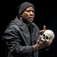 BWW Review: HAMLET at Chicago Shakespeare Theater