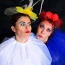 SASOLBURG COMMON 'BIRDS' OF SOUTH AFRICA Comes to The Drama Factory