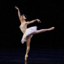 El Lago De Los Cisnes Refrendó Su Arraigo En El Gusto Del Público