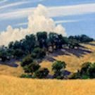 ADG Gallery 800 Announces Exhibit, Opening 2/10