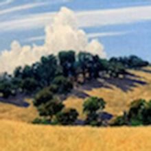 ADG Gallery 800 Announces Exhibit, Opening 2/10