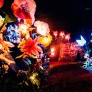 BWW Review: SOUNDS AND SORCERY CELEBRATING DISNEY FANTASIA, The Vaults