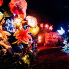 BWW Review: SOUNDS AND SORCERY CELEBRATING DISNEY FANTASIA, The Vaults