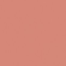 TEOC Circus Returns to Adelaide Fringe For Another Year With ENTROPY