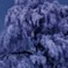 Everyday Inferno Theatre Company presents Fifth Annual IF ON A WINTER'S NIGHT