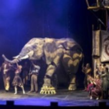 BWW Review: CIRCUS 1903 at Durham Performing Arts Center