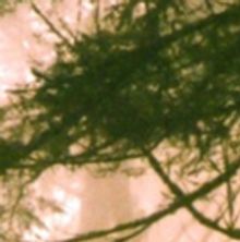 Queer + Art Presents I AM SEAGULL New Queer Play Inspired By Chekhov's The Seagull Wi