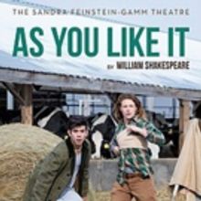 Shakespeare's AS YOU LIKE IT Closes The Gamm's Season
