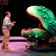 Photo Flash: First Look at LITTLE SHOP OF HORRORS at Sacramento Music Circus