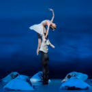Joffrey Ballet to Open Season with Christopher Wheeldon's SWAN LAKE