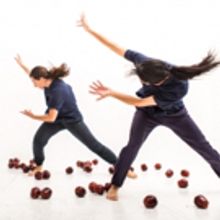 Stefanie Nelson Dancegroup Presents A MY NAME IS...this December