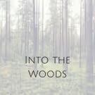 Out of the Box Theatrics INTO THE WOODS Extends Off-Broadway