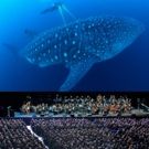 The City of Prague Philharmonic Orchestra to Provide Live Accompaniment to BLUE…