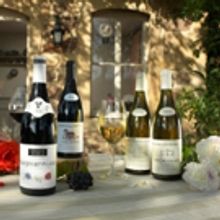 Vote for GEORGES DUBOEUF BEAUJOLAIS NOUVEAU Artwork Label