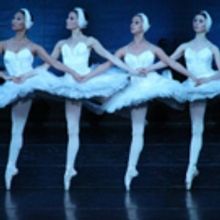BWW Preview: SWAN LAKE by MOSCOW FESTIVAL BALLET January 13 2018