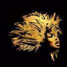 New Casting Information Announced for Premiere of Tina Turner Musical TINA