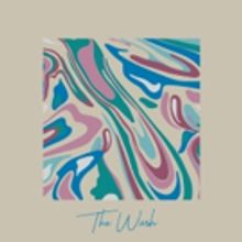 Dry Reef Share New Single THE WASH