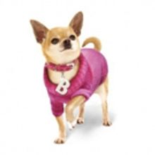 LEGALLY BLONDE Comes to The Everyman