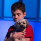 BWW Interview: Dominic Torres of THE CURIOUS INCIDENT OF THE DOG IN THE NIGHT-TIME…