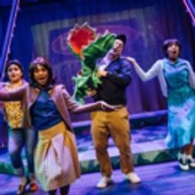 BWW Review: LITTLE SHOP OF HORRORS is in bloom at STAGES REPERTORY THEATRE