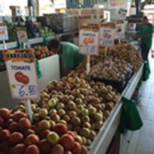 Food diversity studies give Aggies taste of different cultures, religions